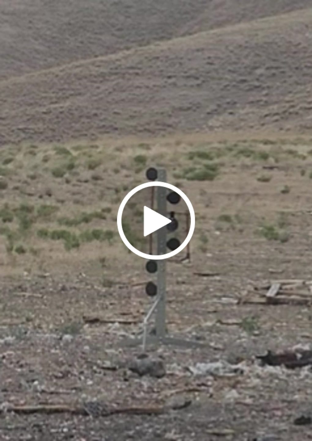 Customer video review of Dueling Tree Target