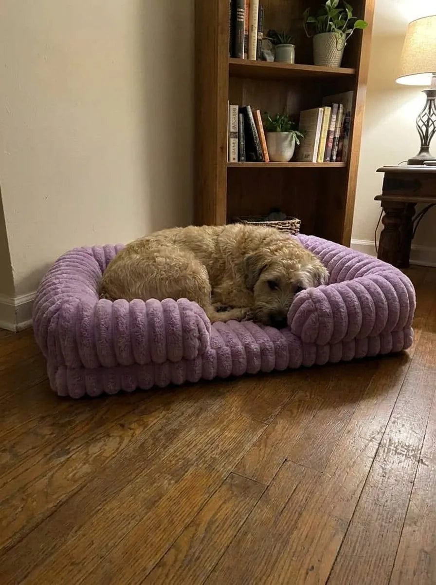 Customer photo review of Panier orthopédique pour chien
