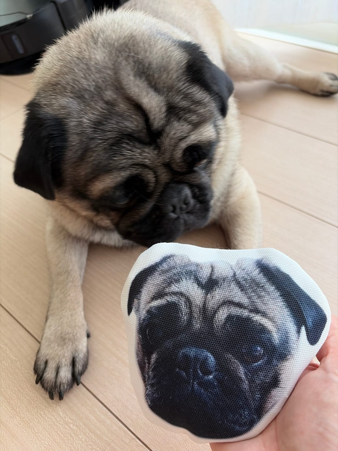 Customer photo review of 本物そっくり♪ペットフェイスバッグ