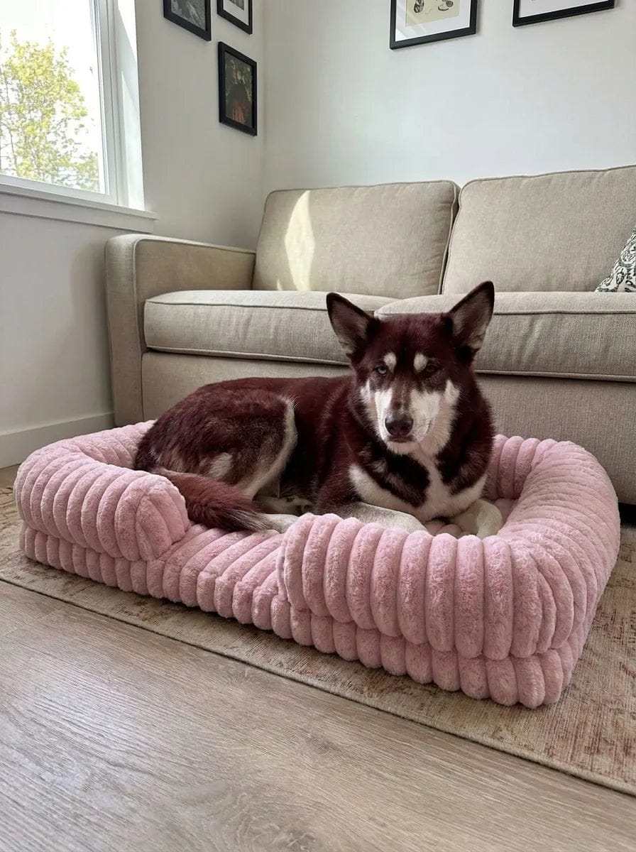 Customer photo review of Panier orthopédique pour chien