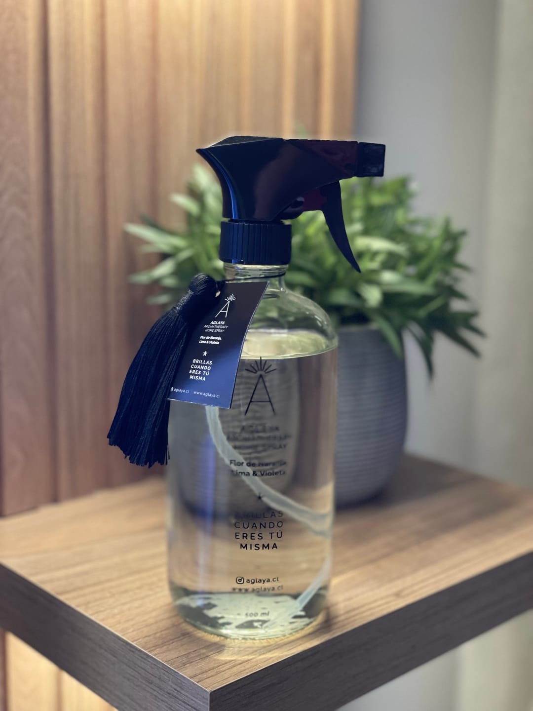 Customer photo review of HomeSpray 500 ml