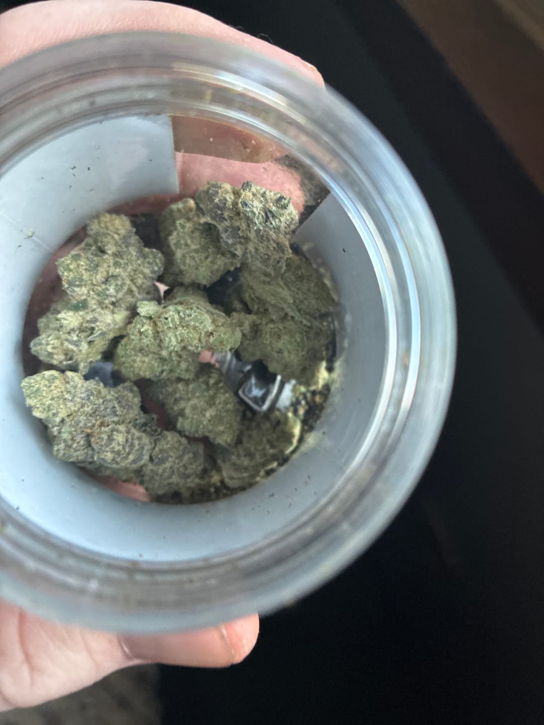 Customer photo review of Animal Tsunami