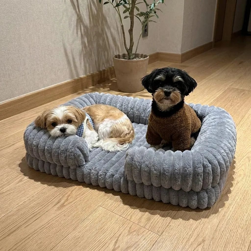 Customer photo review of Panier orthopédique pour chien