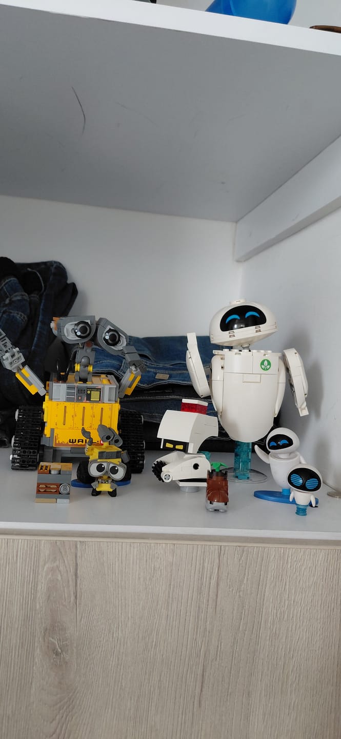 Customer photo review of WALL-E Y EVE
