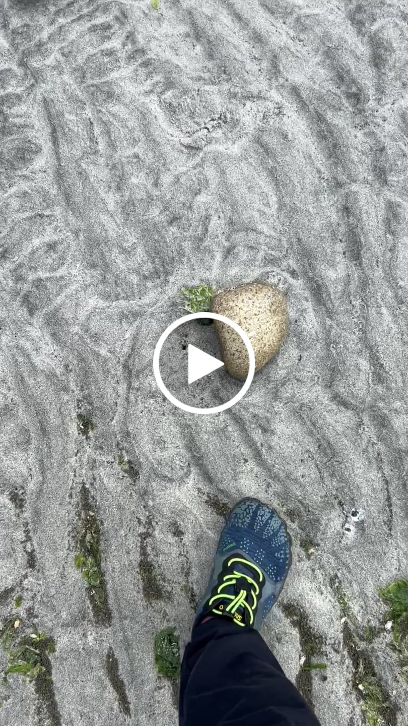 Customer video review of Fast Ⅰ Aqua - Barefoot Water Shoes