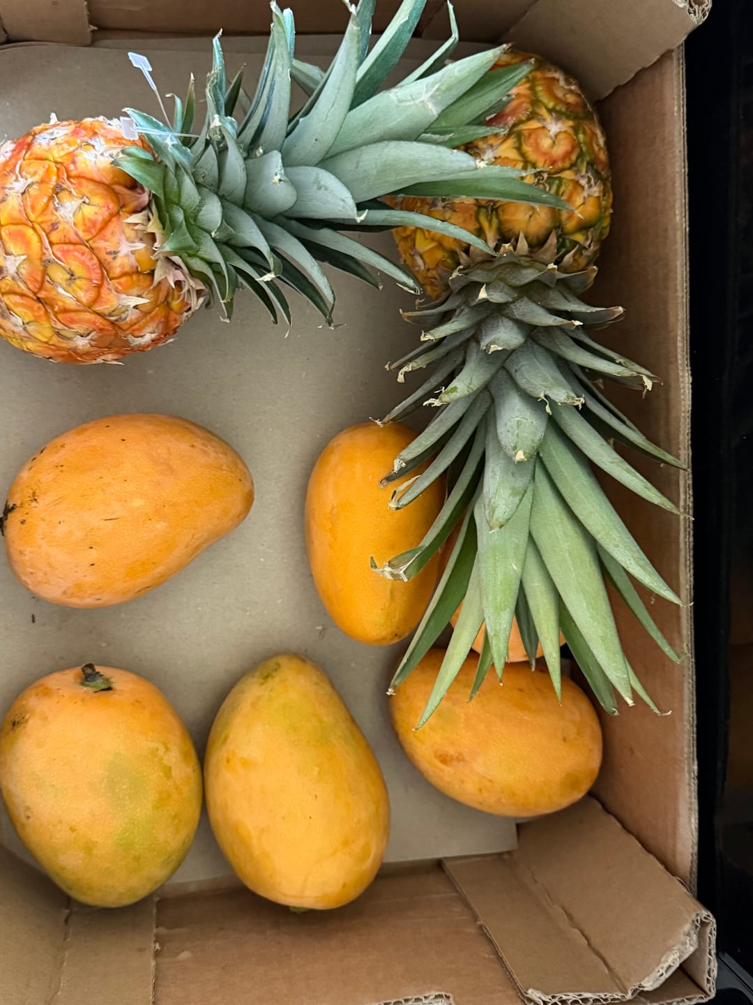 Customer photo review of Baby-Ananas reifgeerntet