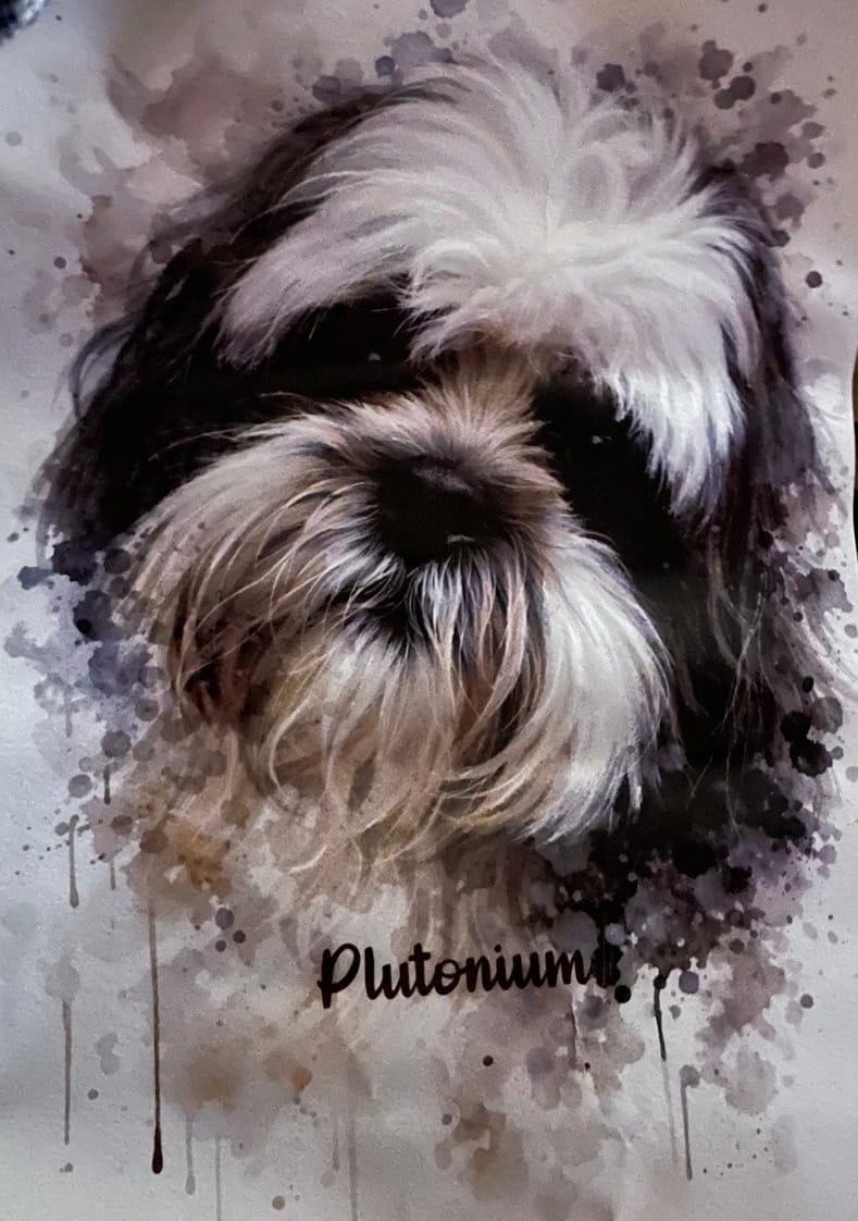 Customer photo review of Personalized Poster - Watercolor Realistic Portrait