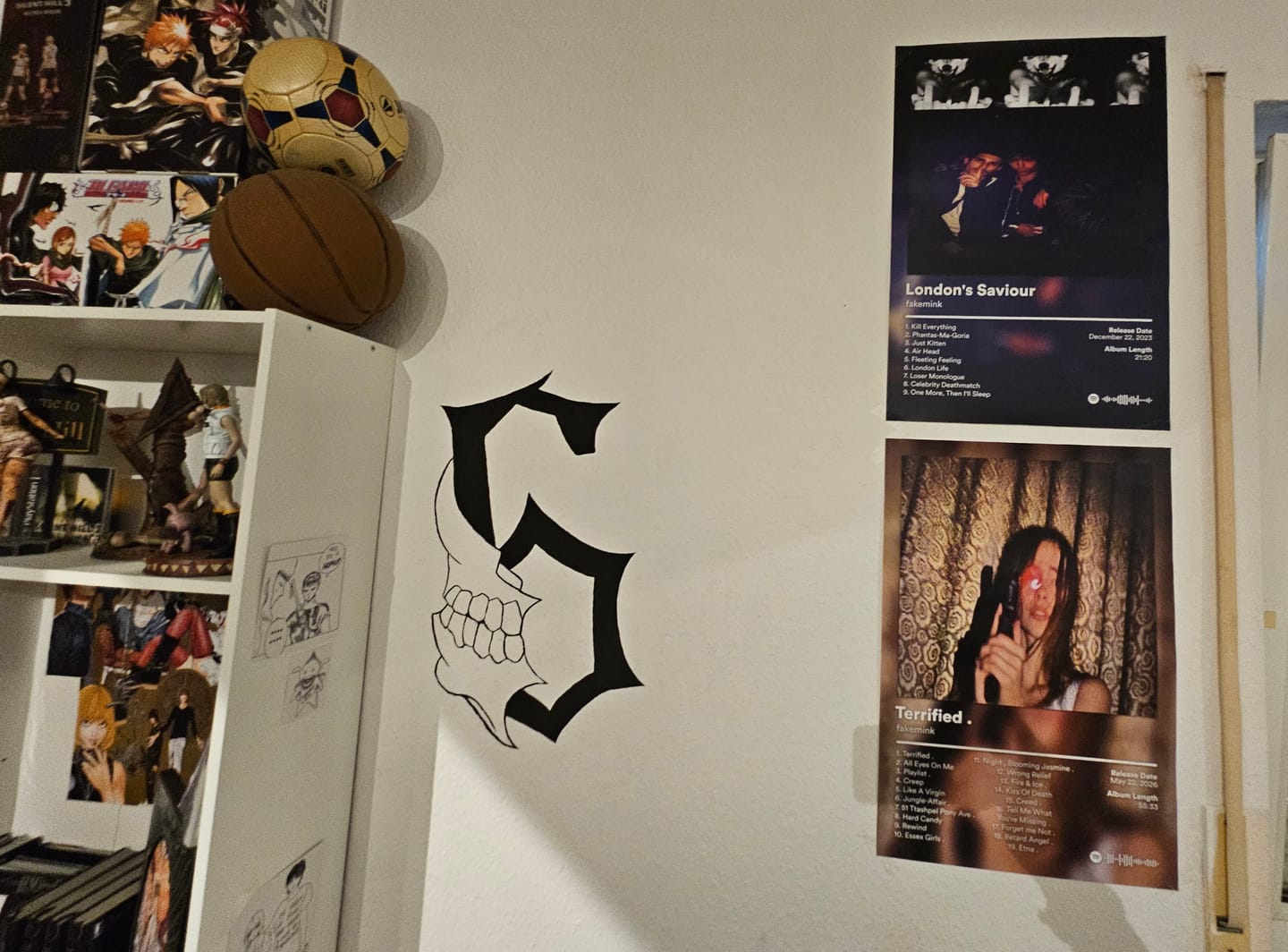 Customer photo review of fakemink Album Posters