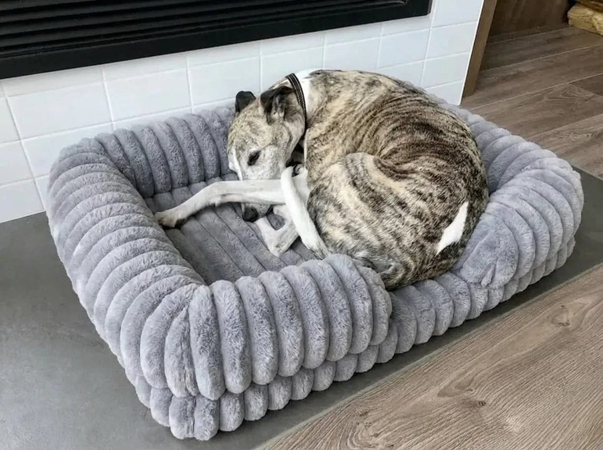 Customer photo review of Panier orthopédique pour chien