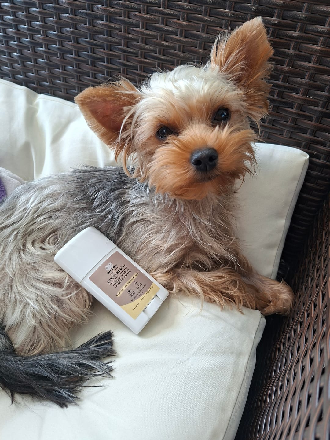 Customer photo review of Bert & Hugo Poletni Ščit – Zaščitni stik za tačke in smrček (50ml)