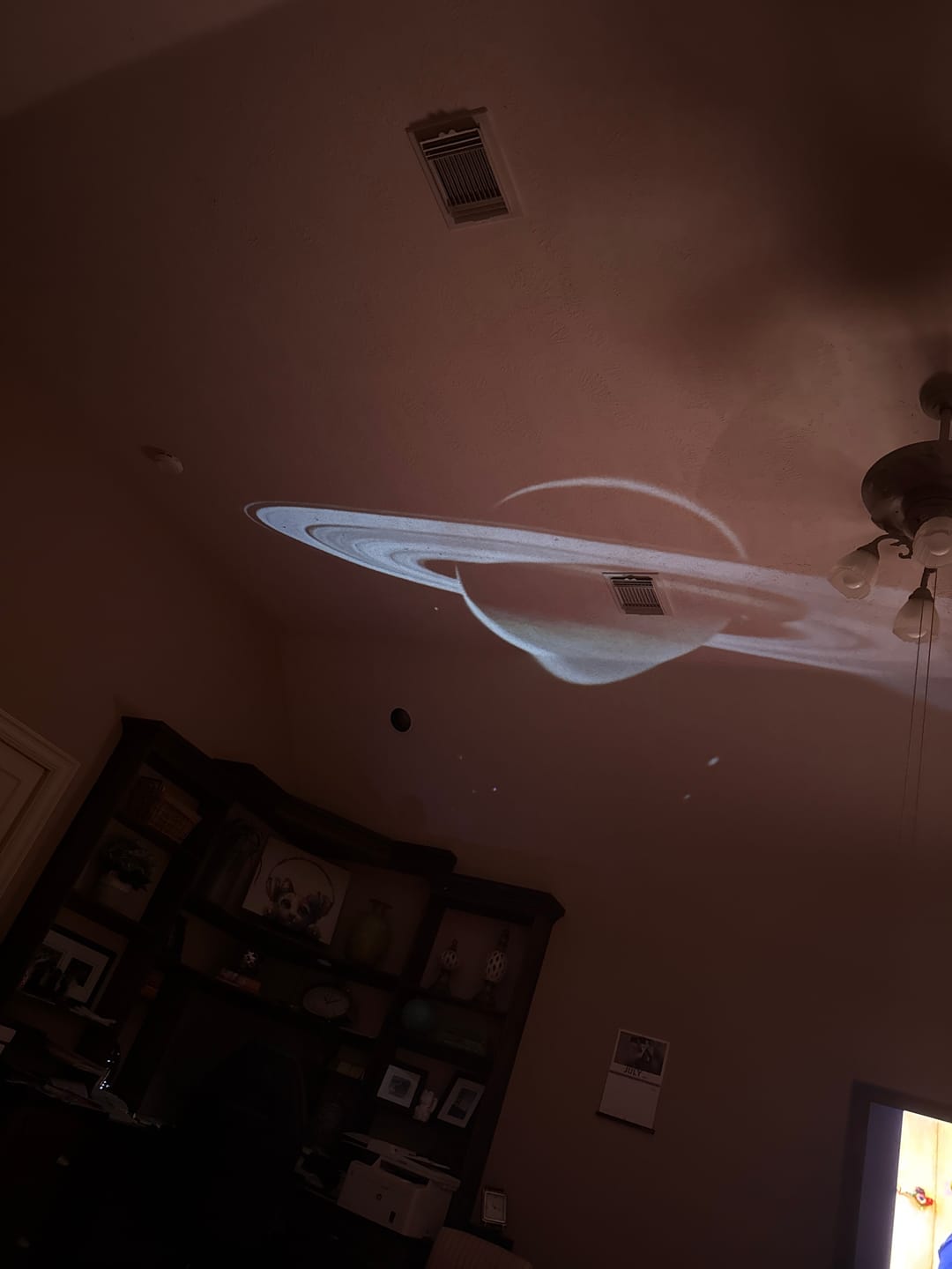 Customer photo review of Litlamp® Holographic Night Light Projector