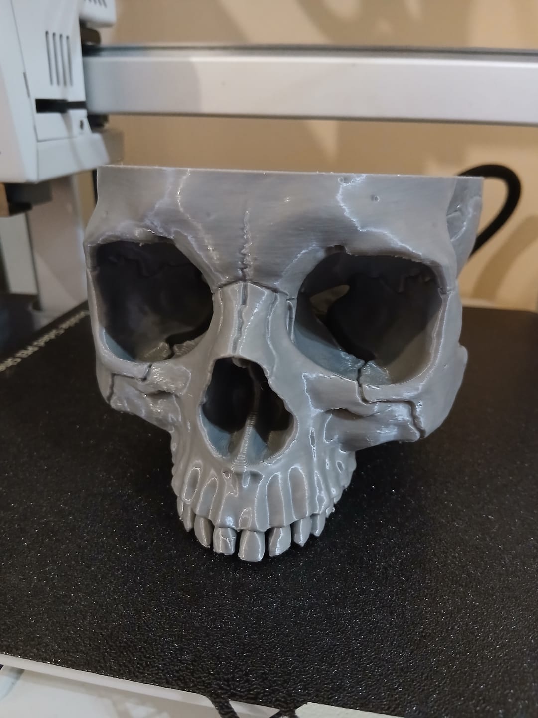 Customer photo review of PLA Basic