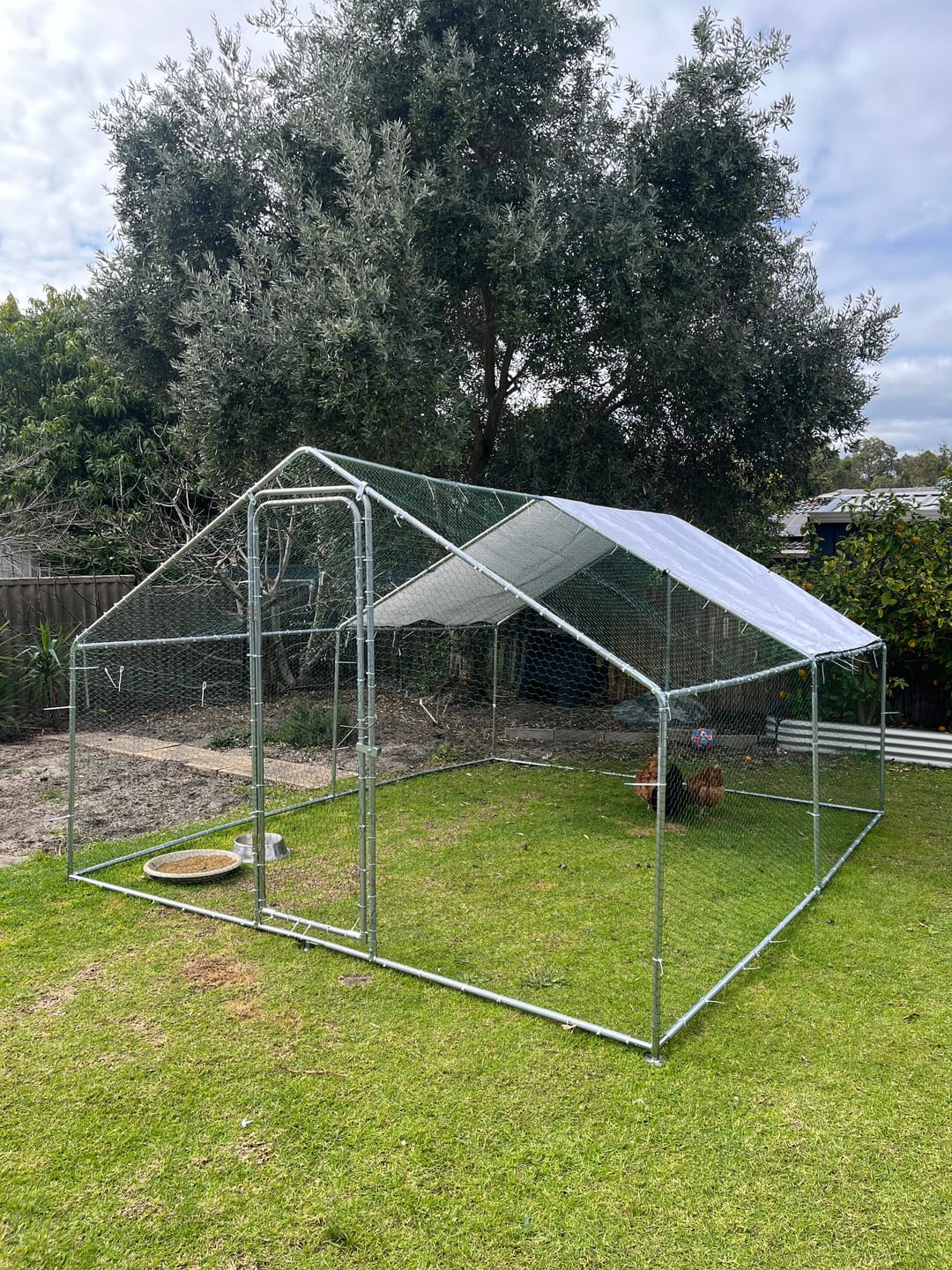 Customer photo review of Metal Chicken Cage Galvanised Steel 4m x 3M