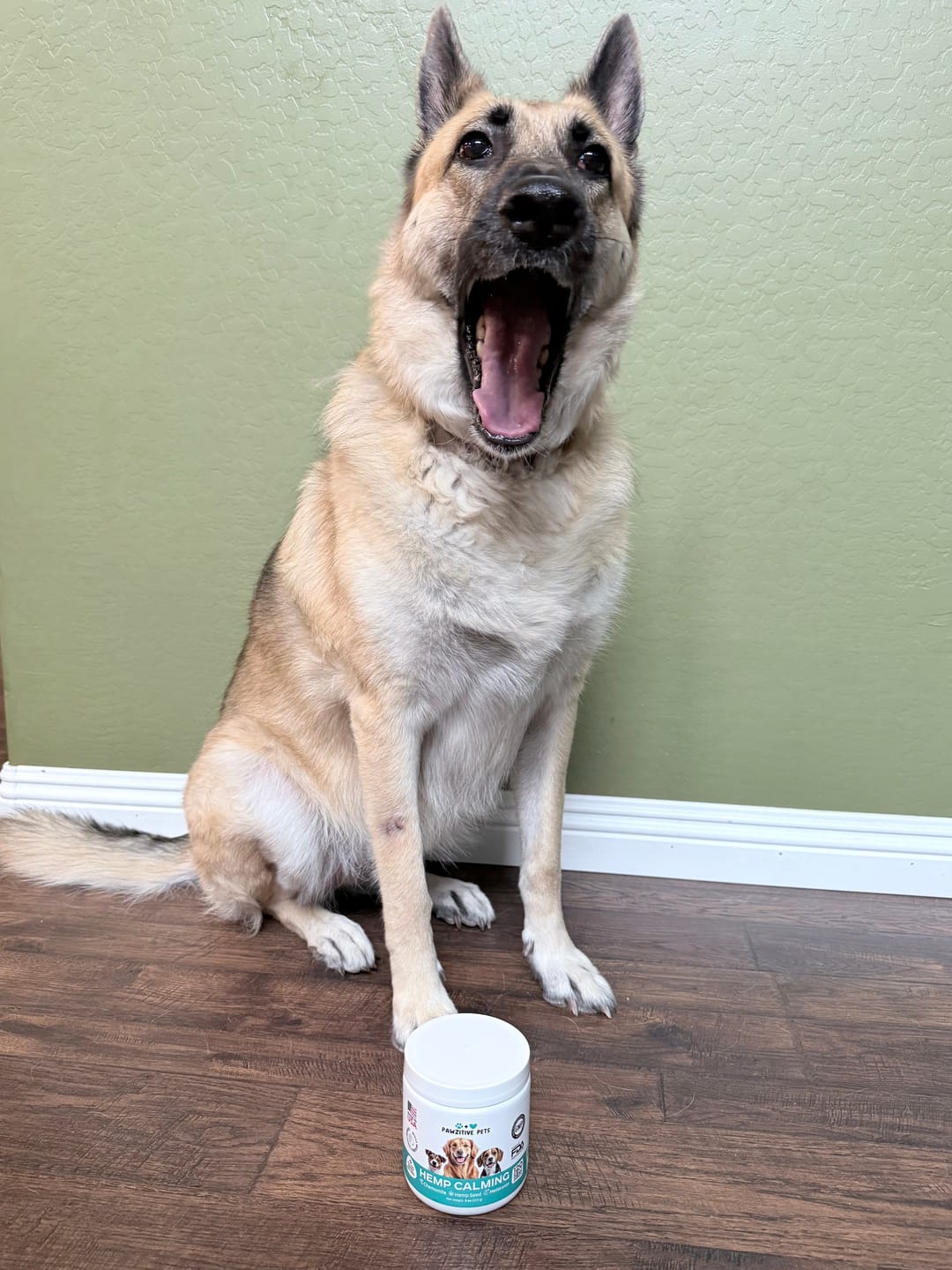 Customer photo review of Hemp Calming Chews for Dogs – 120 Soft Chews