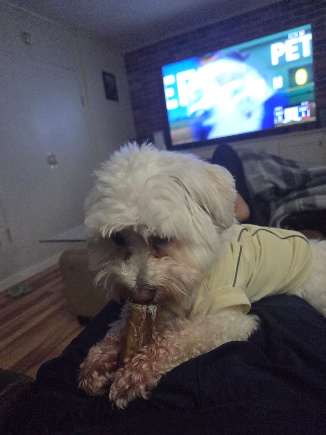 Customer photo review of Thin Bully Sticks