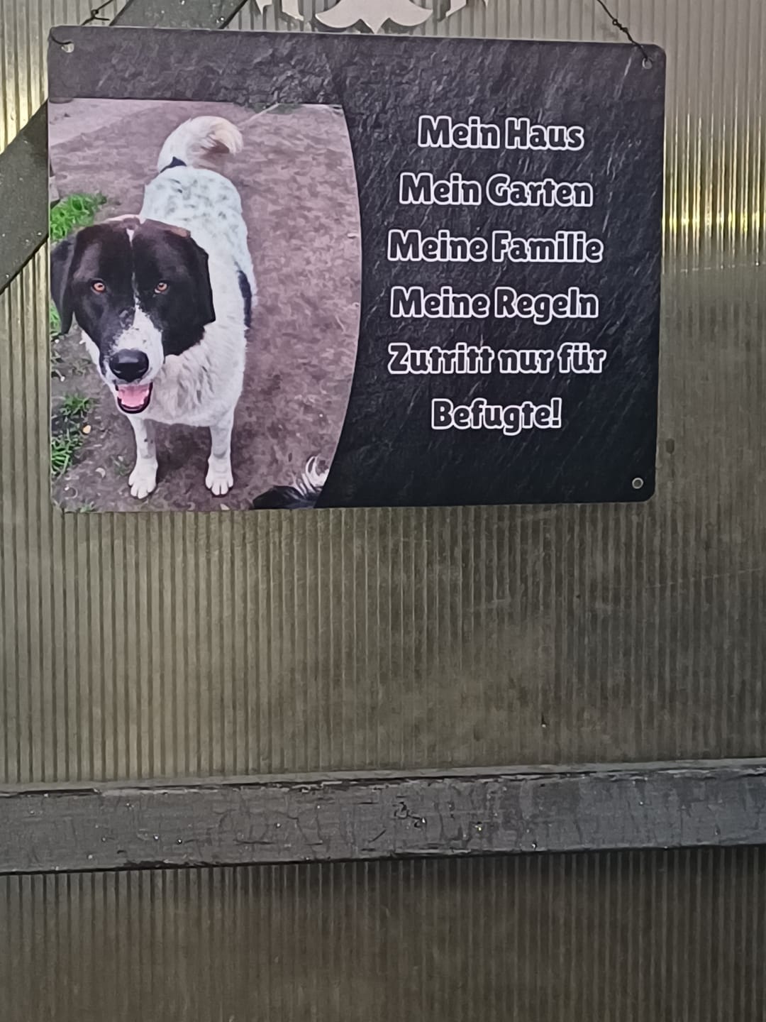 Customer photo review of Hunde-Türschild personalisiert mit Foto & Text (UV- und wetterfest)