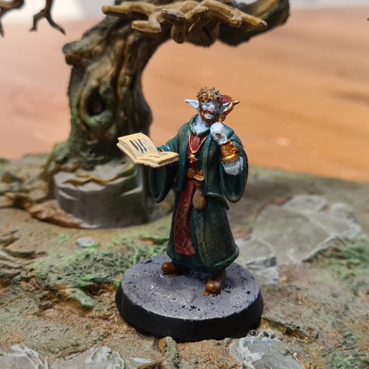 Customer photo review of Firbolg Cleric