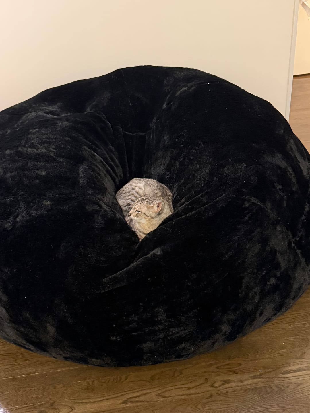 Customer photo review of 7-Foot Giant Bean Bag Chair + 80 lb Premium Filling Included