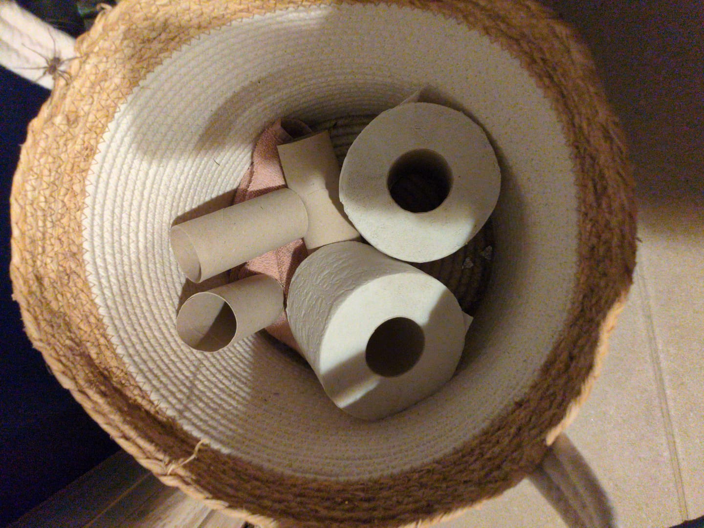 Customer photo review of 100% Recycled Toilet Paper
