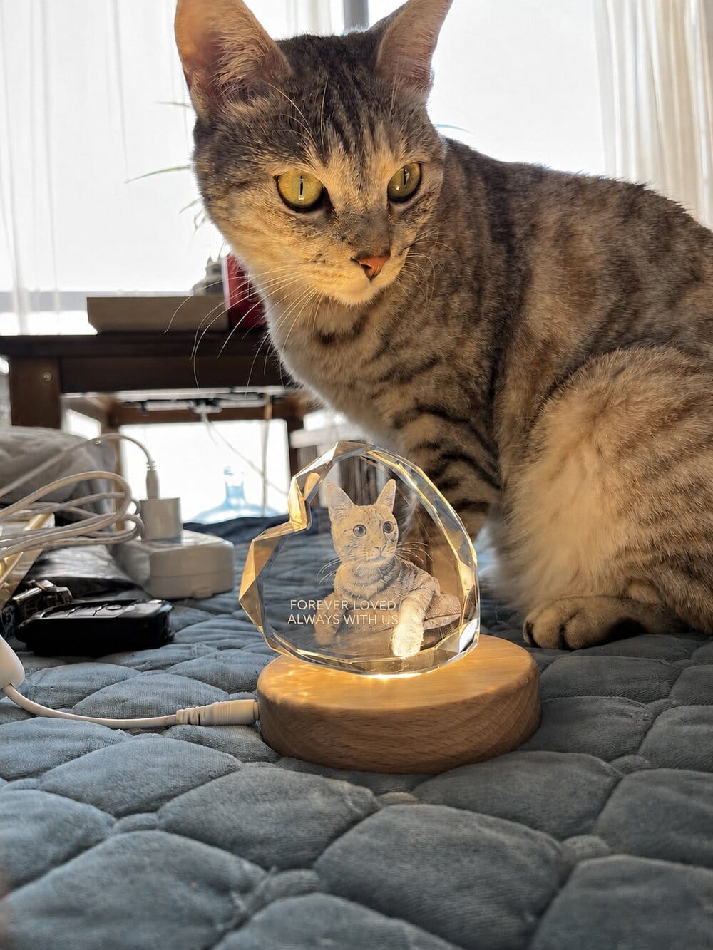 Customer photo review of 3D Pet Portrait Sculpting Crystal Night Light
