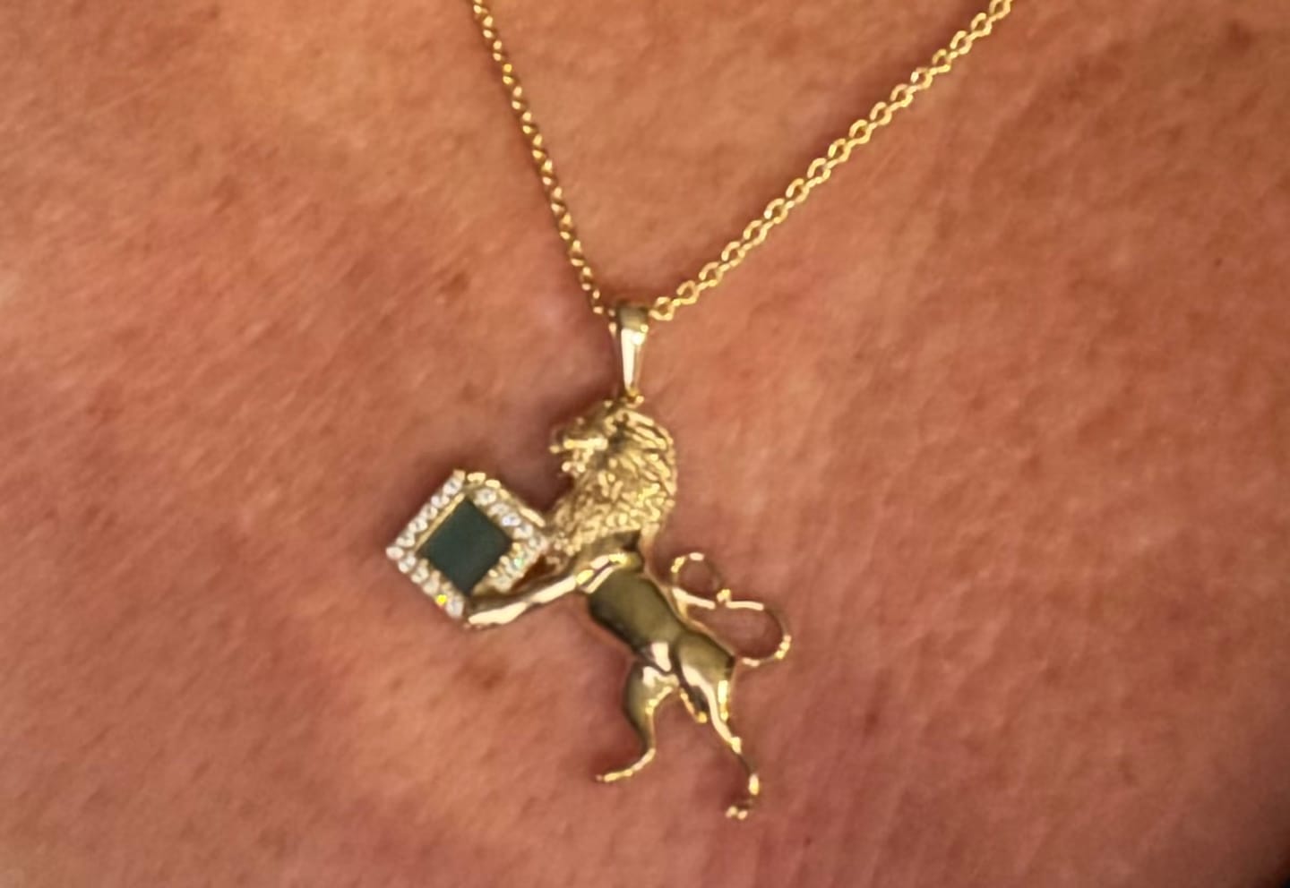 Customer photo review of 14k Solid Gold The Guardian Lion Necklace