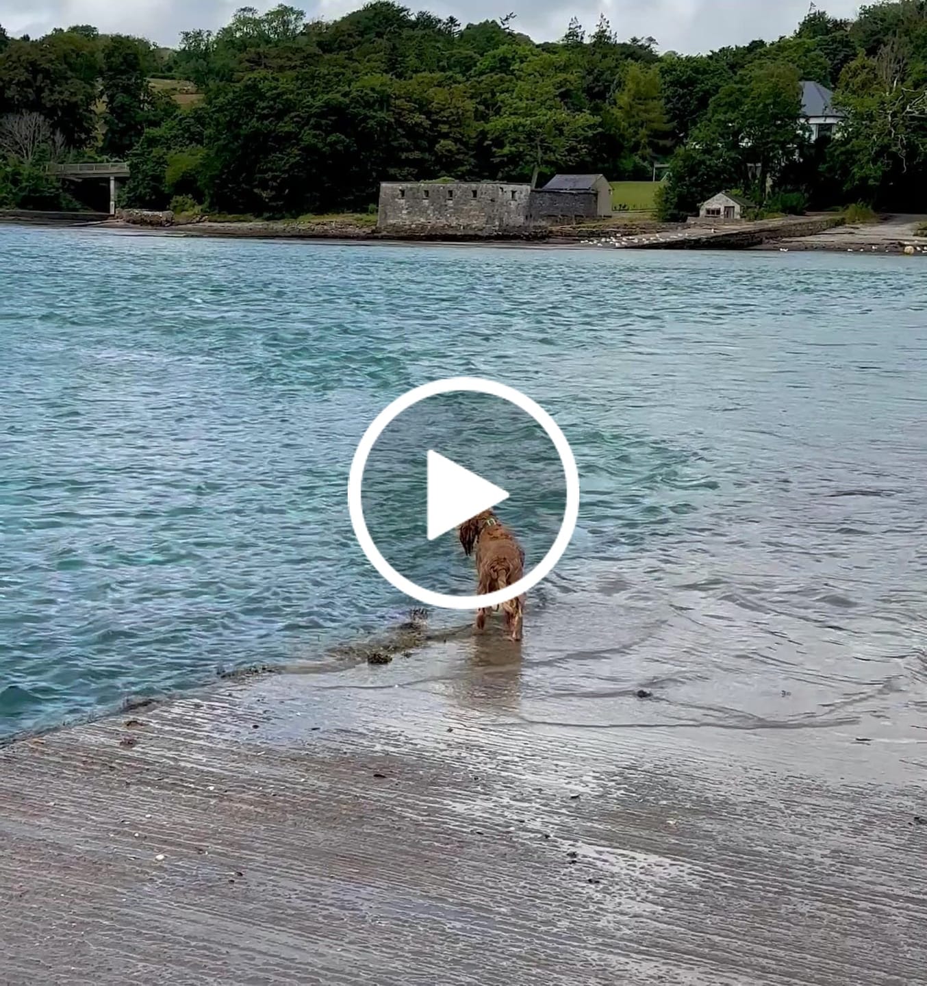 Customer video review of Tidal Waterproof Collar