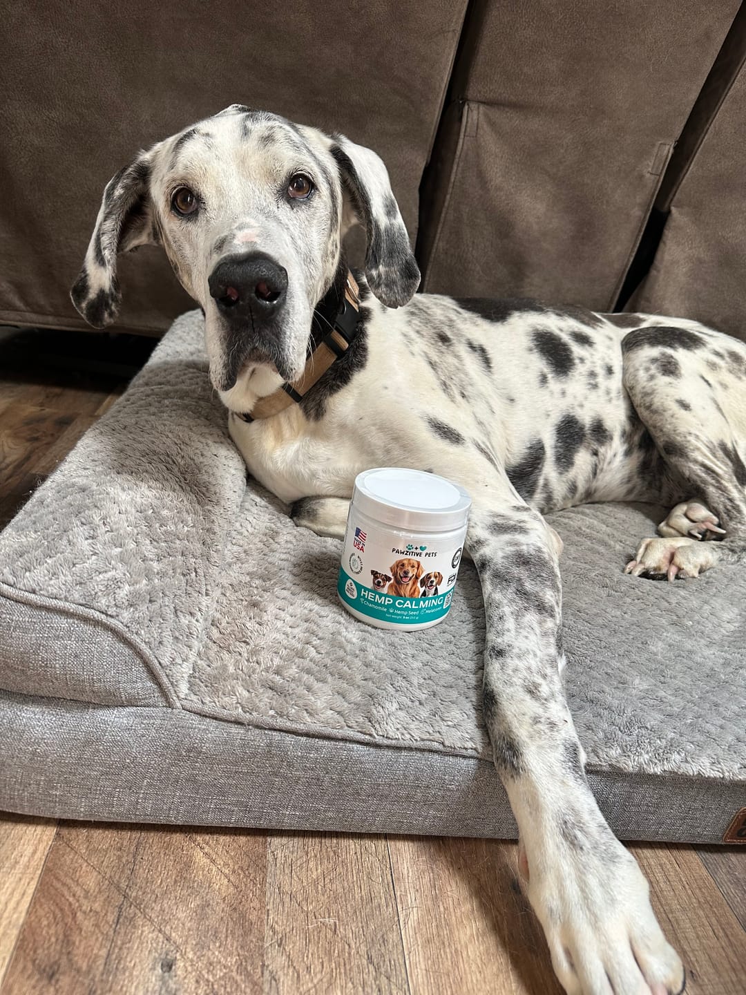 Customer photo review of Hemp Calming Chews for Dogs – 120 Soft Chews