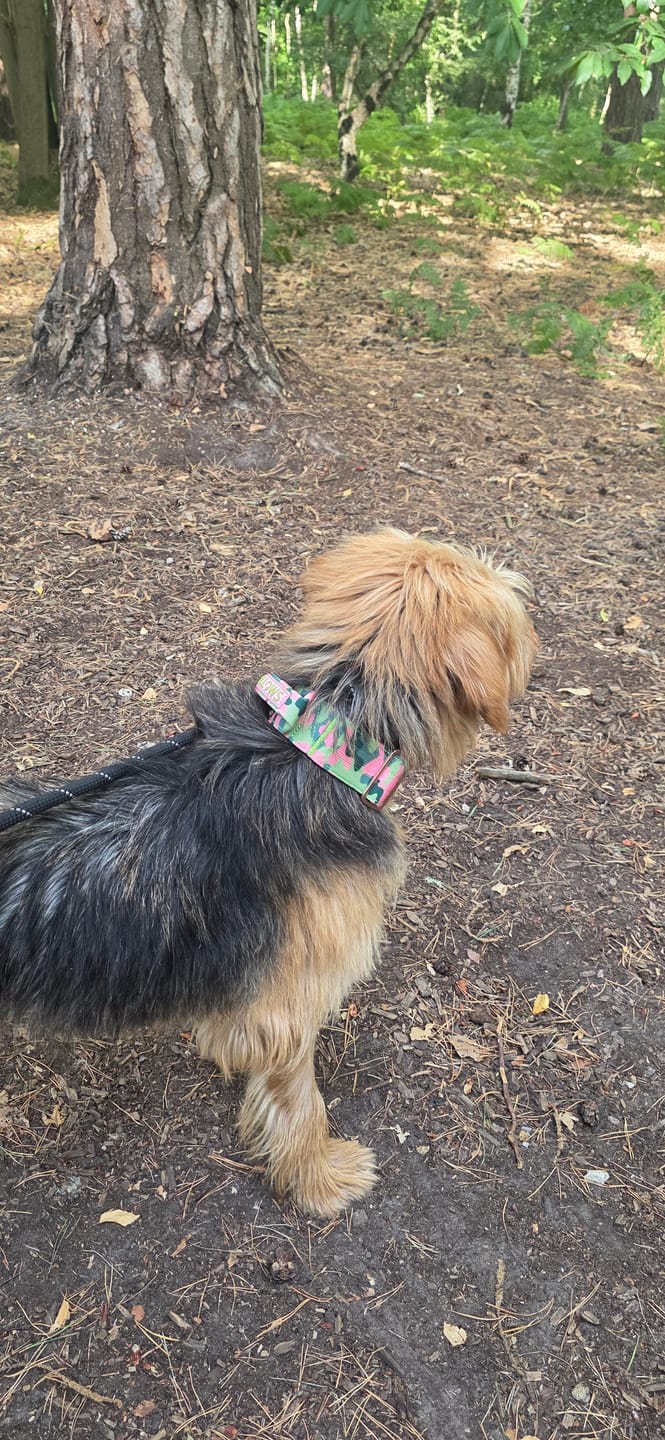 Customer photo review of 5cm Lighter Combat® Collar | With Handle & Secure Clip - Pink Camouflage