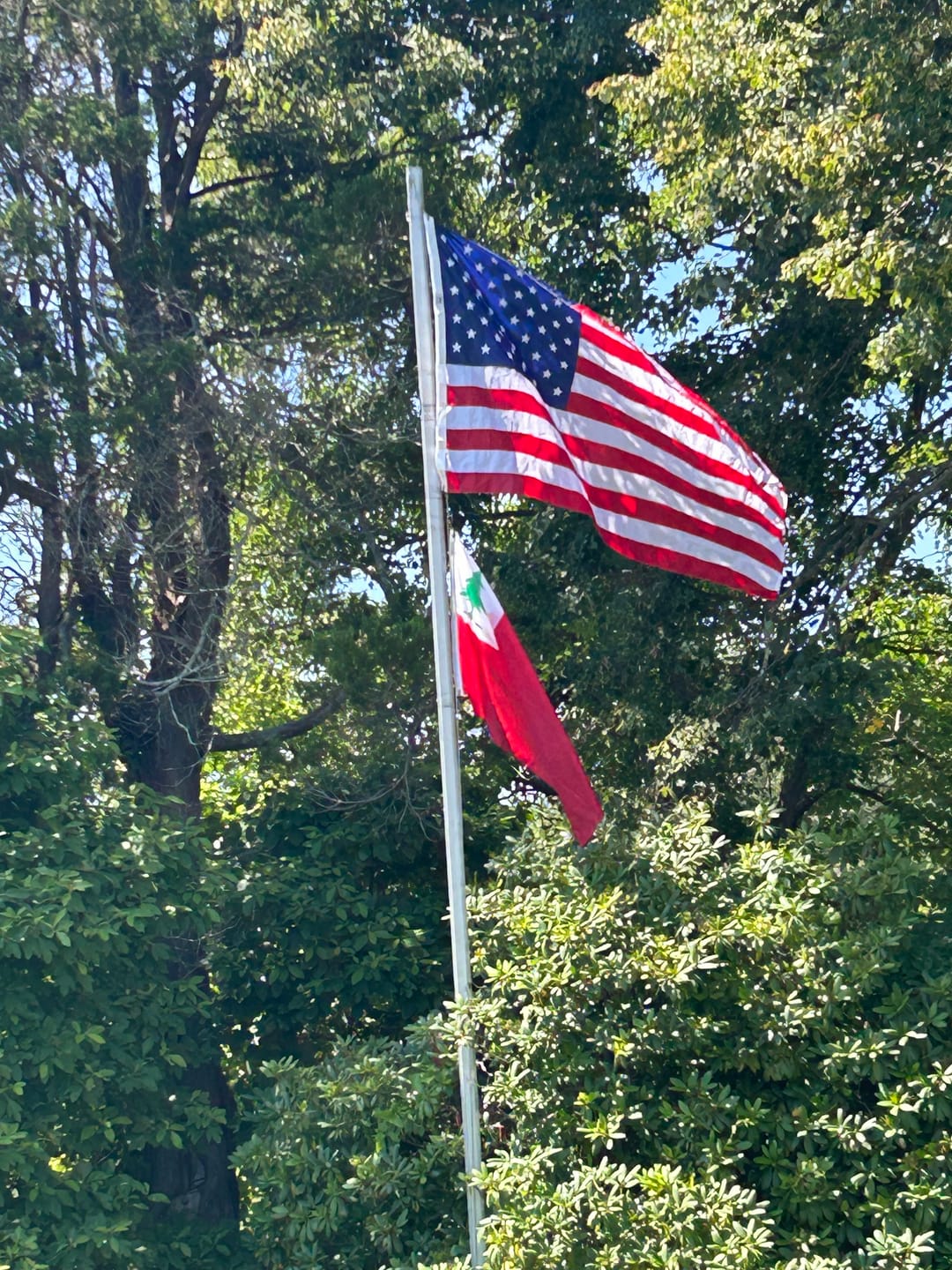 Customer photo review of 5' x 8' American Flag