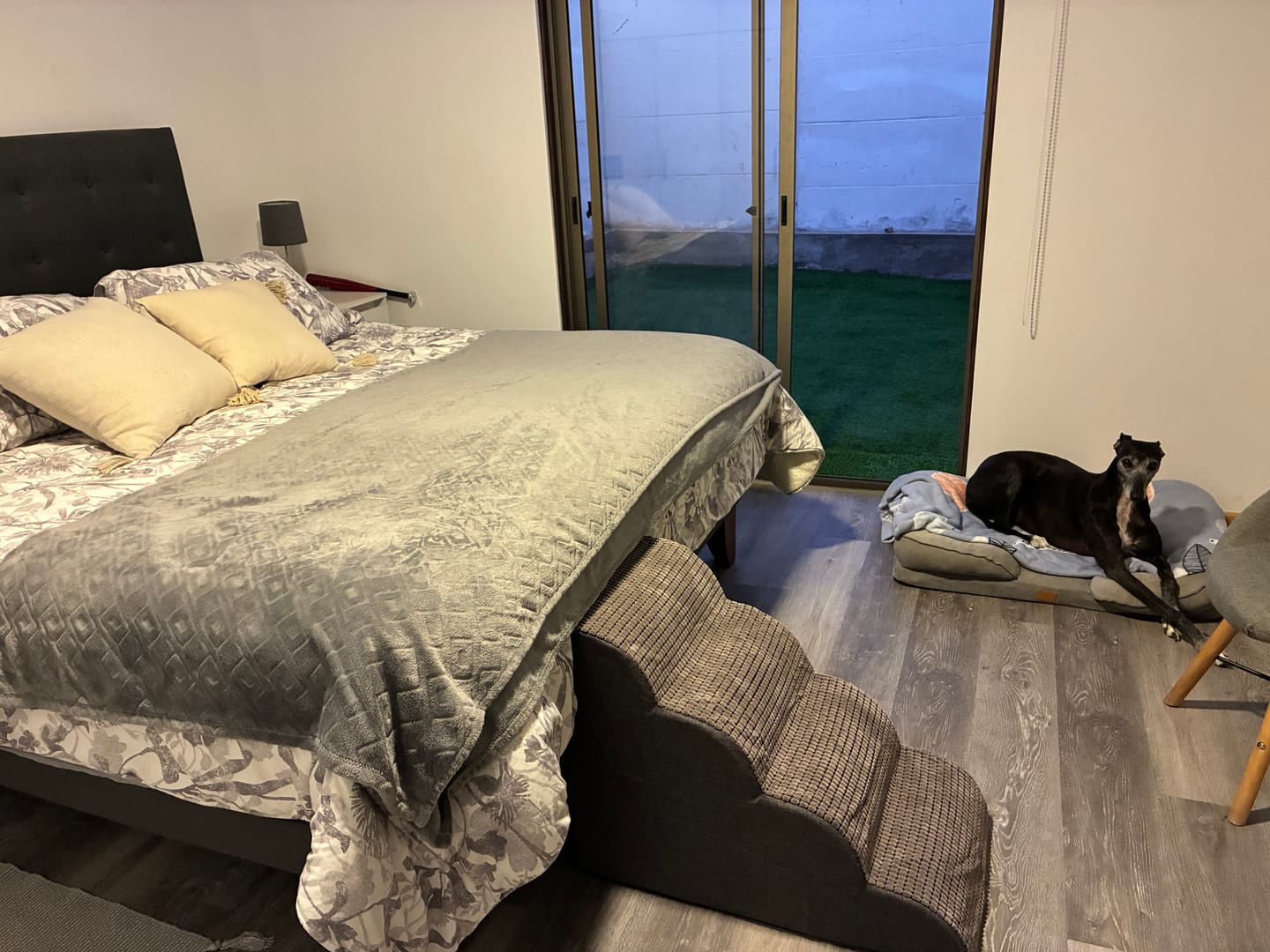 Customer photo review of Rampa Pendiente Suave THE DOGS