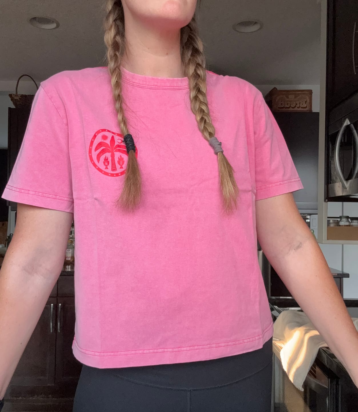 Customer photo review of Tummy Ache Survivor T-Shirt