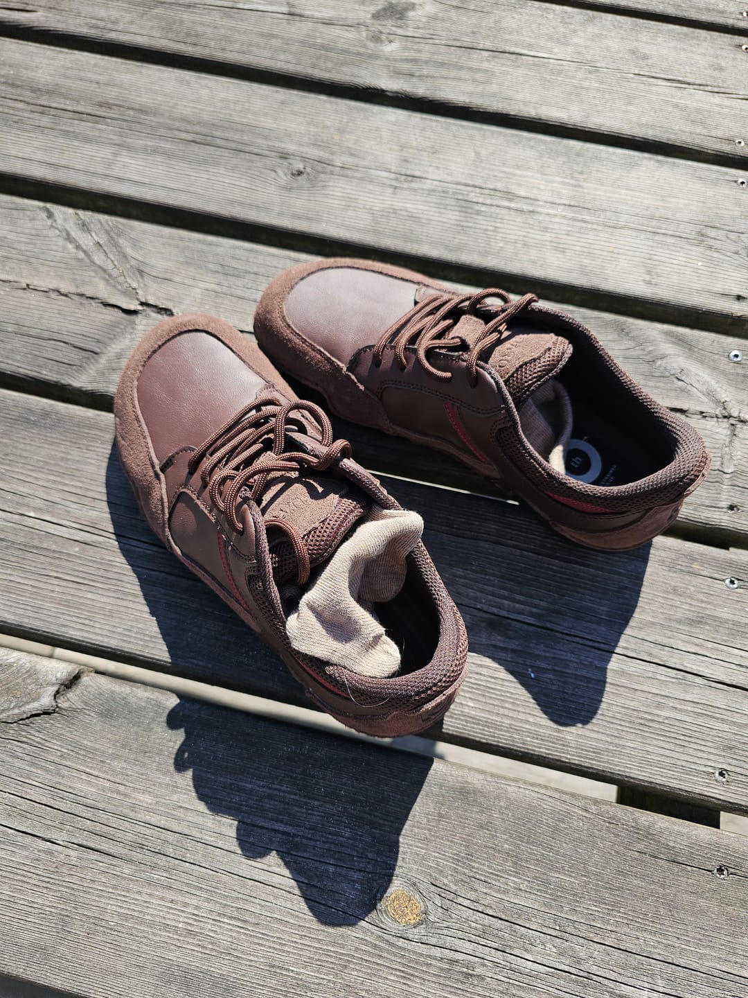 Customer photo review of Terra I – Édition 10e Anniversaire