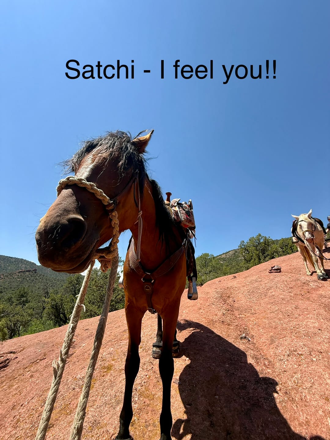 Customer photo review of Renegade® Viper Shield™ Hoof Boot Seconds - Arizona Copper
