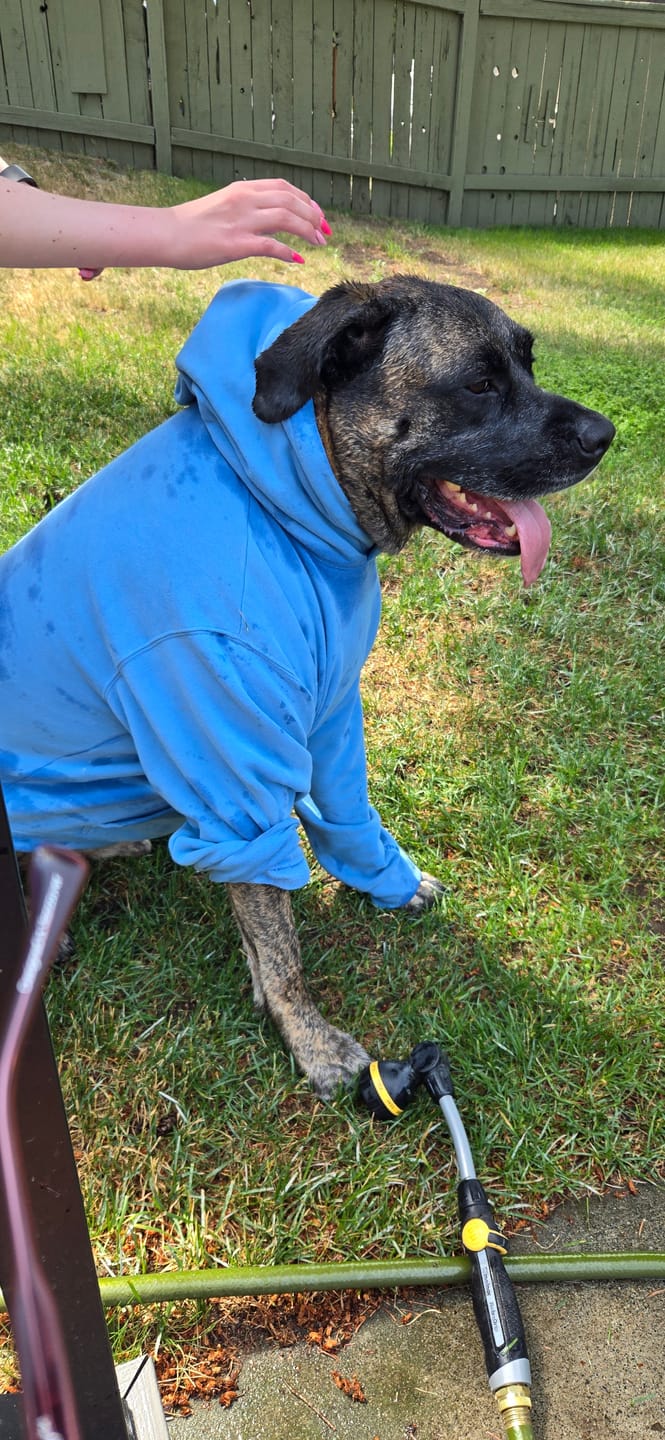 Customer photo review of 12 Inch Trachea Wrapped in Jerky