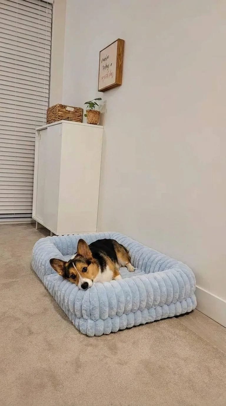 Customer photo review of Panier orthopédique pour chien
