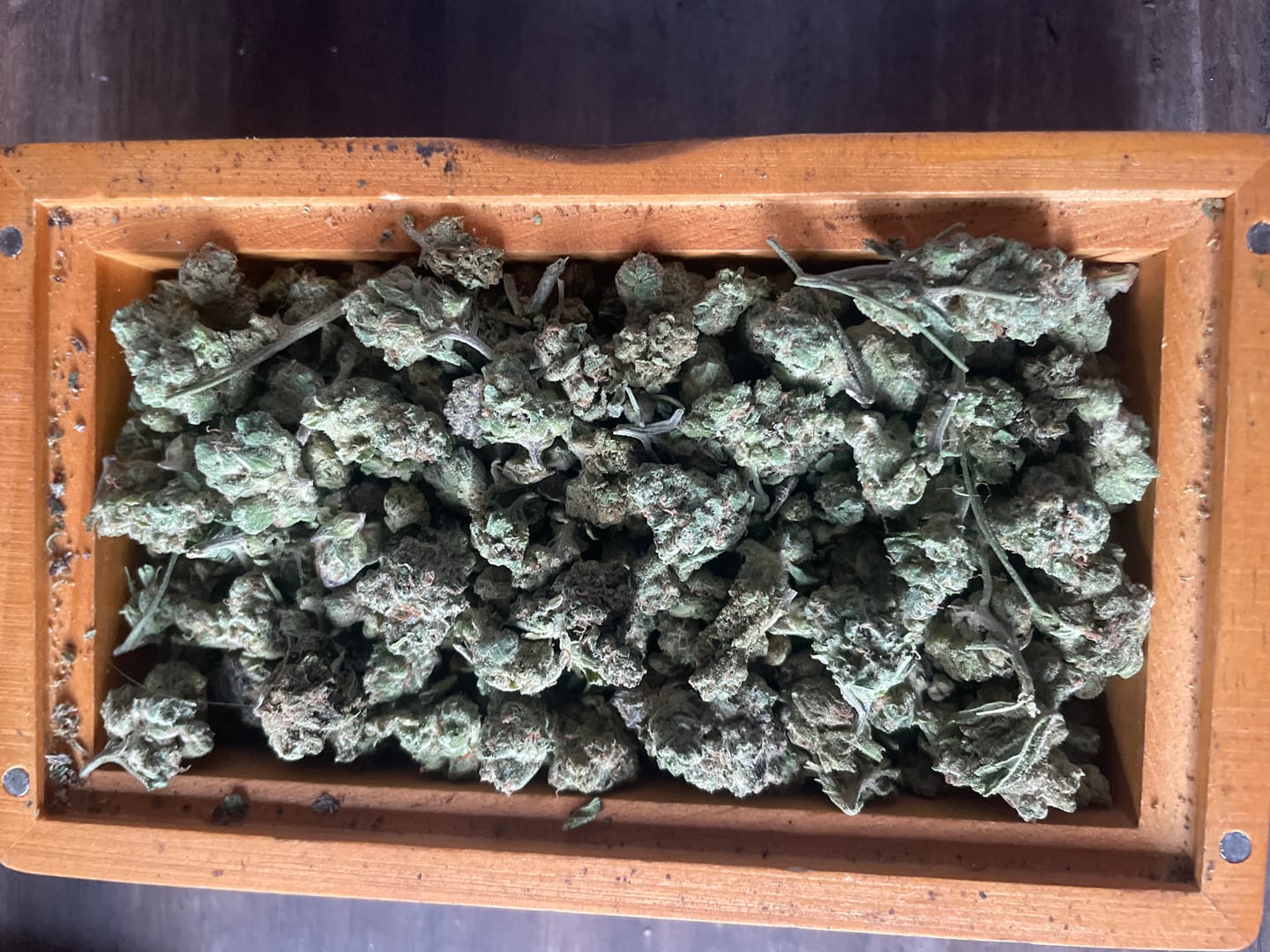 Customer photo review of Cali Kush Smalls (BOGO)