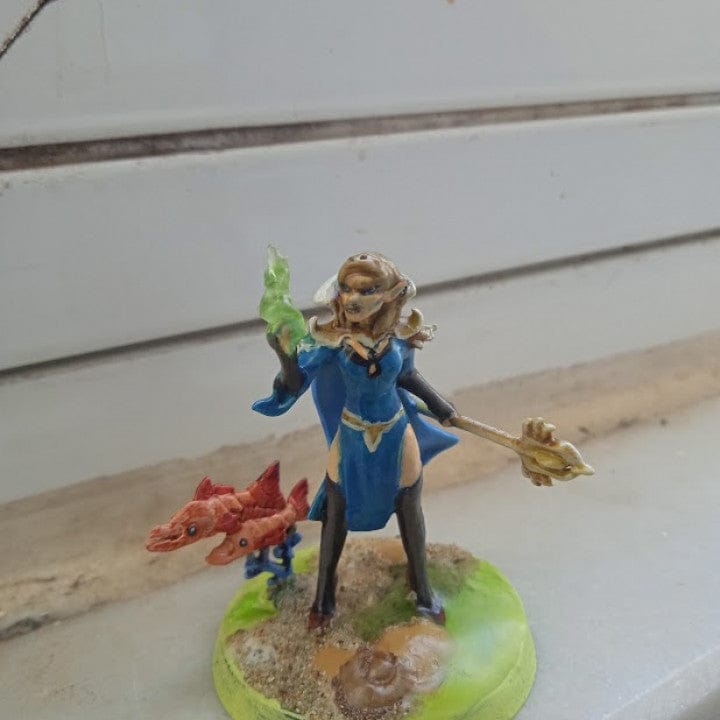 Customer photo review of Elves War Mage