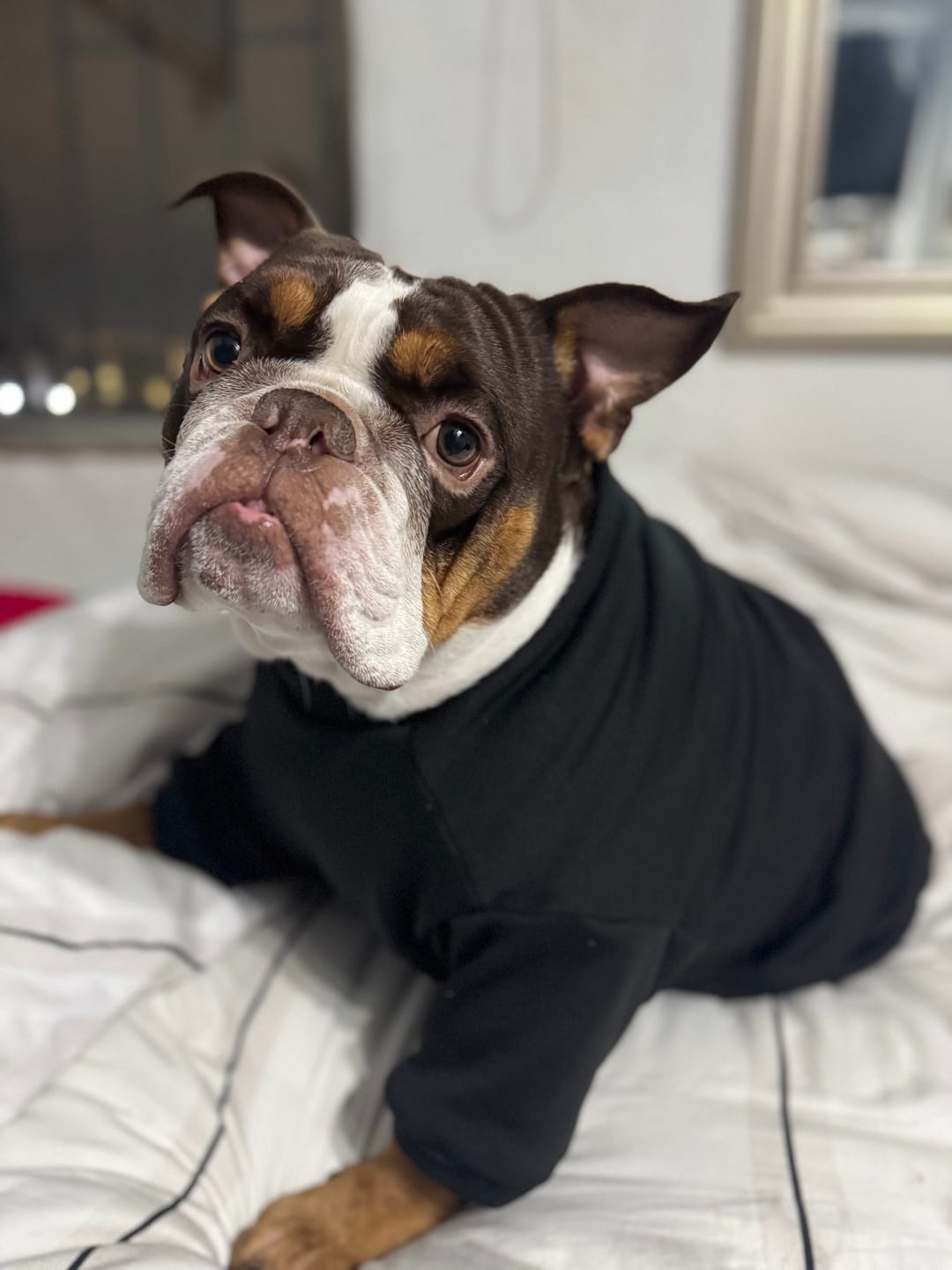 Customer photo review of Polera Térmica Power Stretch™