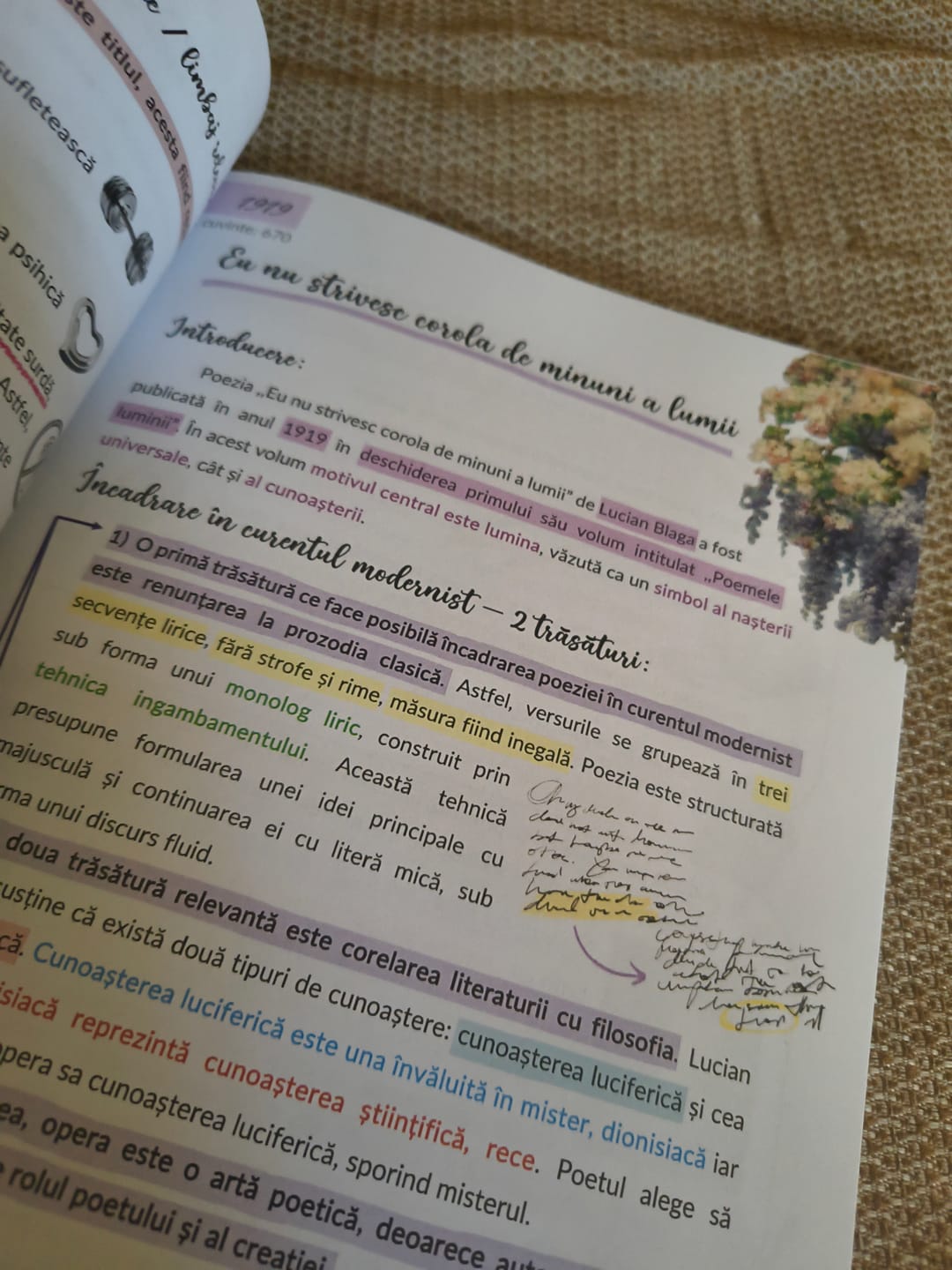 Customer photo review of Carte Română Bacalaureat Bacademia (temă și viziune, caracterizare, relație) - Ediția II
