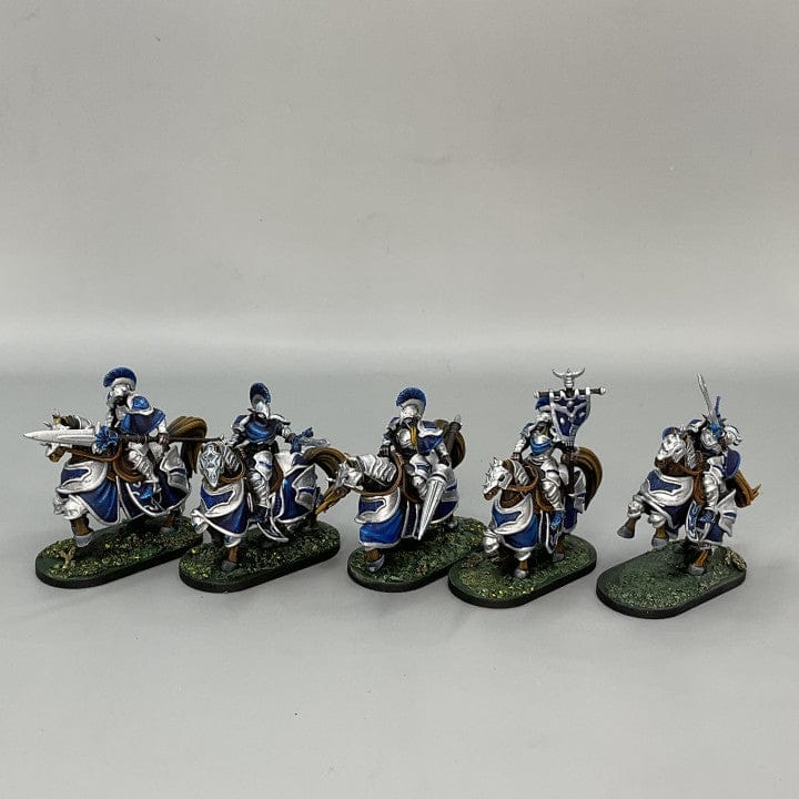 Customer photo review of High Elves - Horse Crew