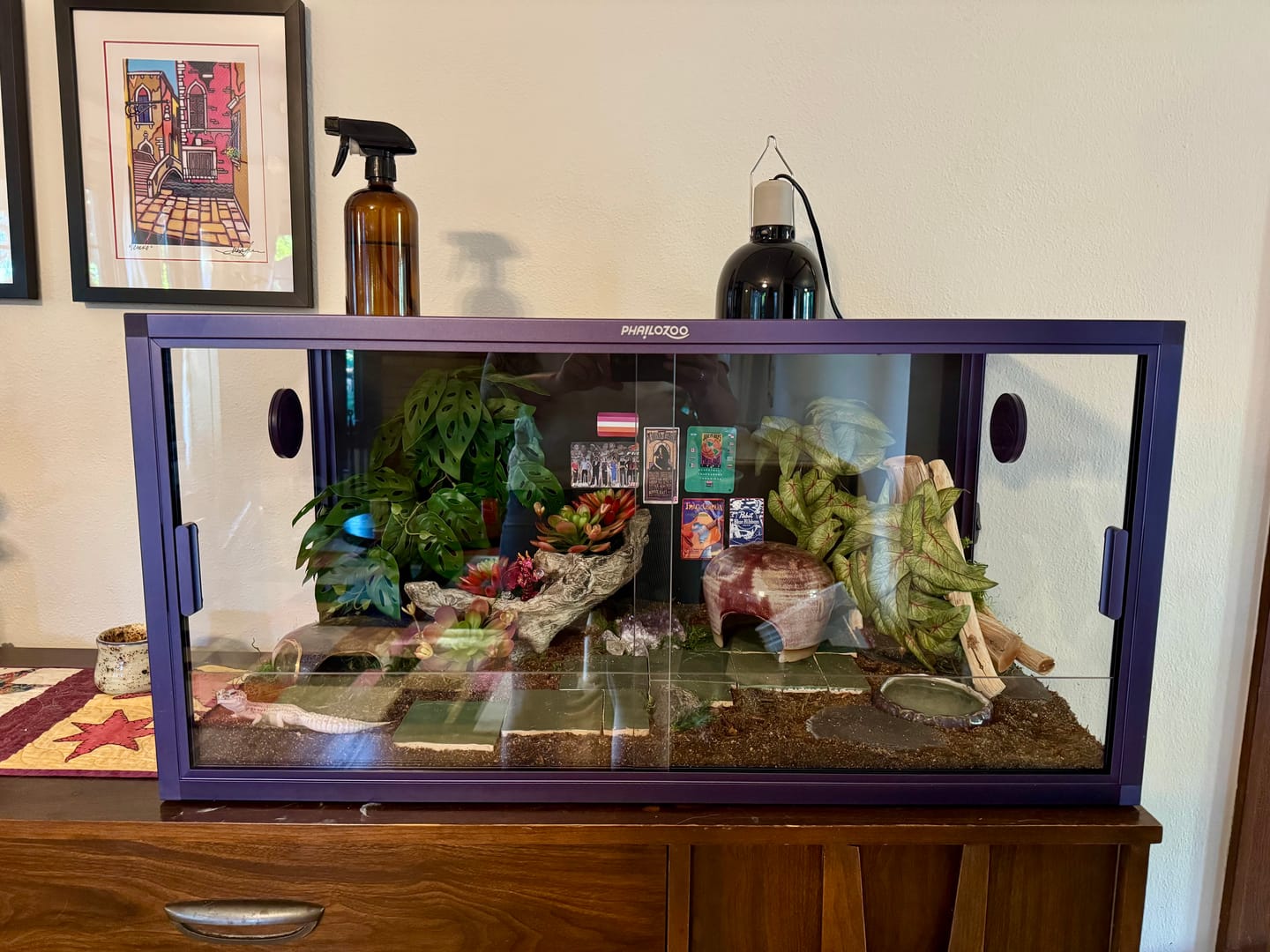Customer photo review of 50 Gallon Geckos Tanks 36x18x18