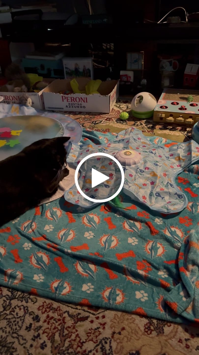 Customer video review of PEEKY TAIL 2.0