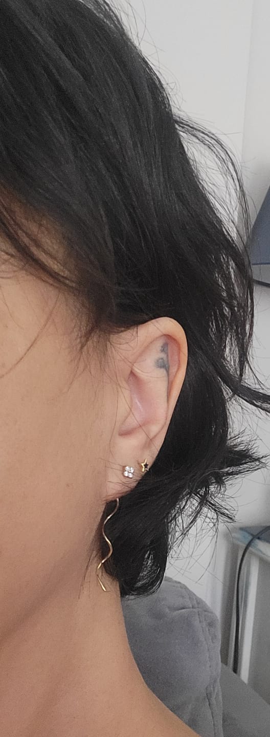 Customer photo review of Ballerina Çiçek Taşlı Sallantılı Altın Relax Piercing