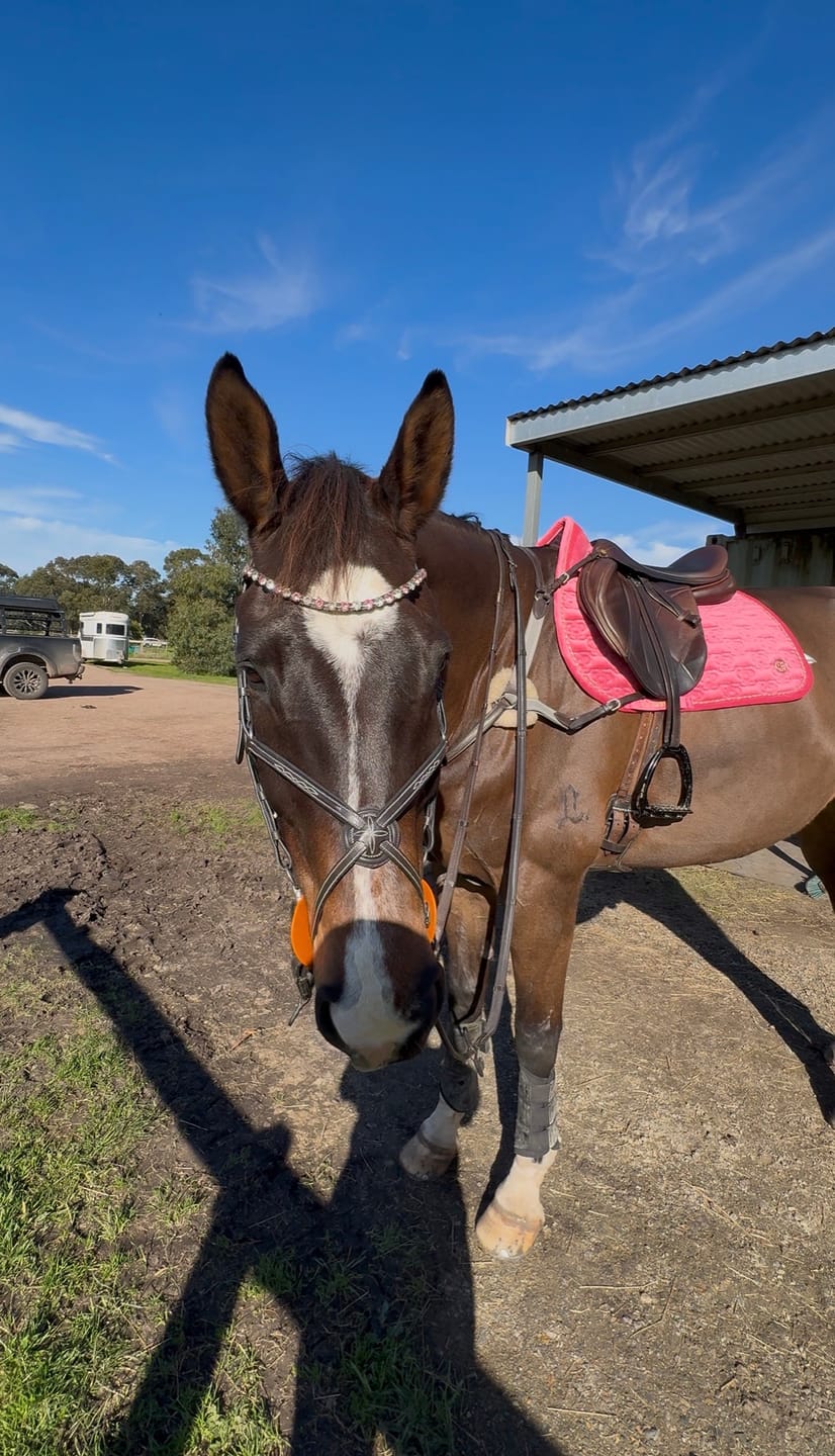 Customer photo review of PSOS Jump Pad Velvet Monogram, Scarlet Pink