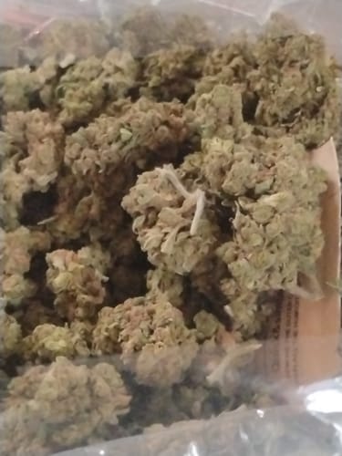 Northern Lights - Bulk - Indica photo review
