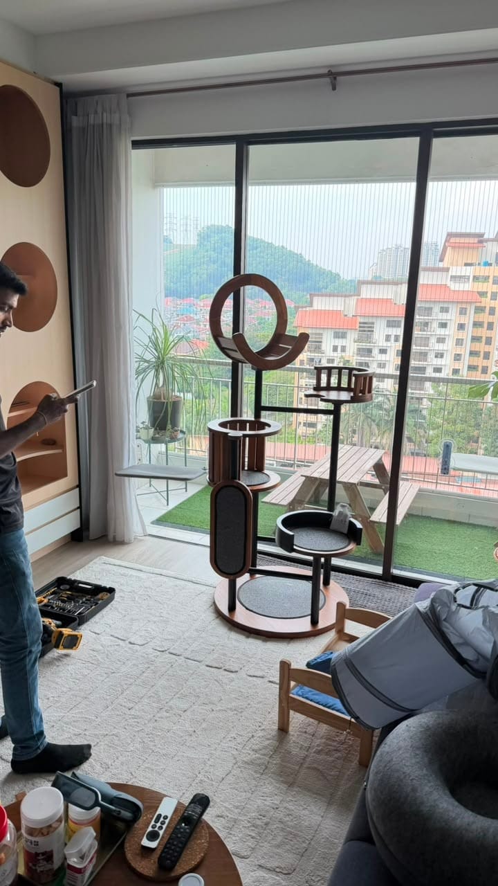Customer photo review of Luxury Cat Tree in Solid Teak Wood