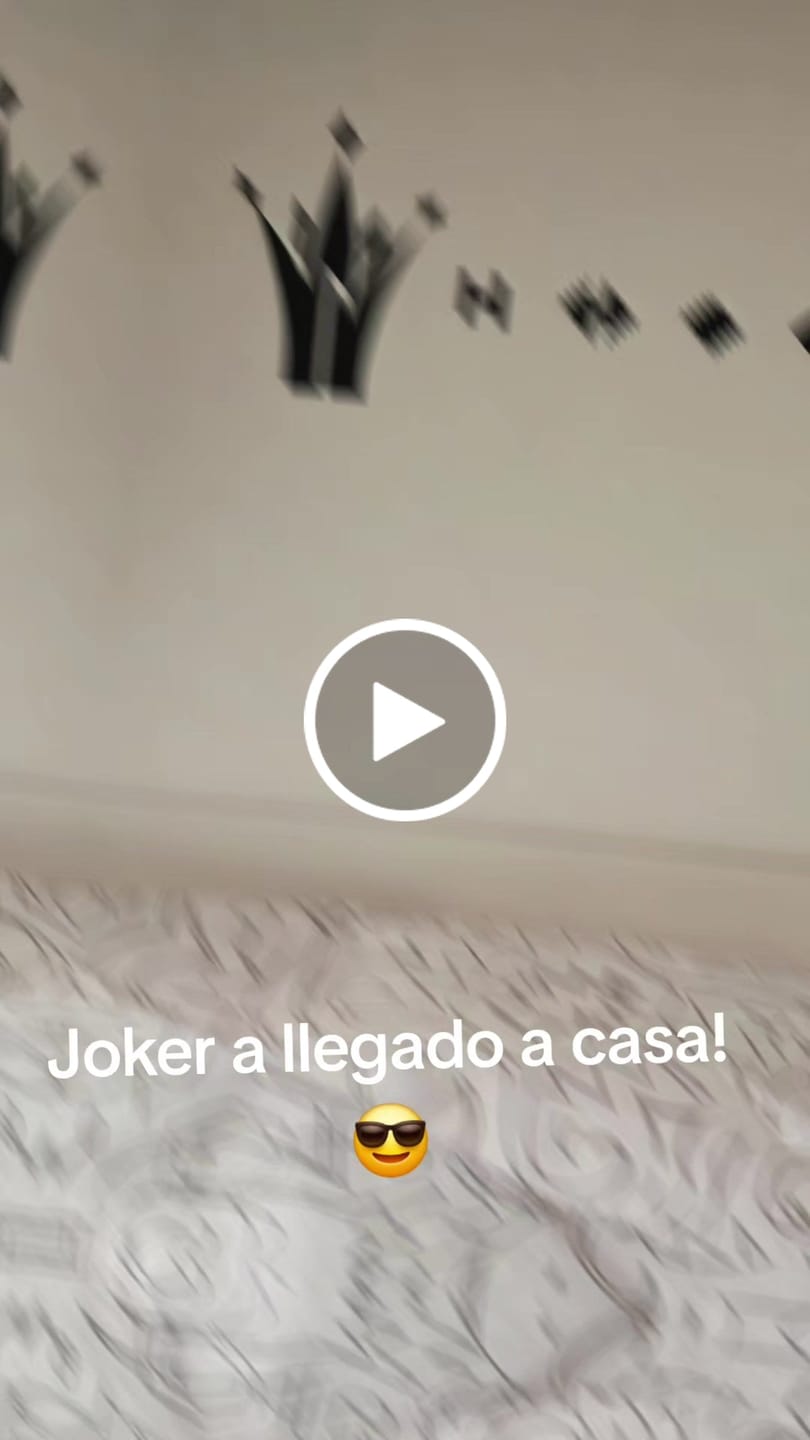 Customer video review of Joker 1 "Triple Red"