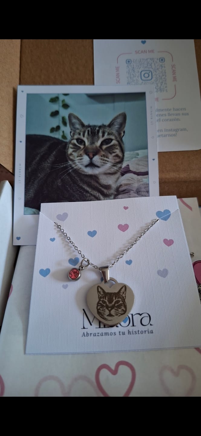Customer photo review of Envoltorio de regalo 🫧