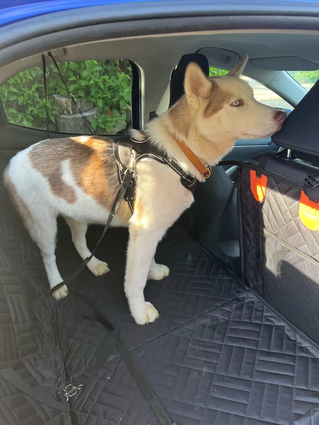 Customer photo review of Fellheimat TravelNest™ Auto-Sitzerweiterung