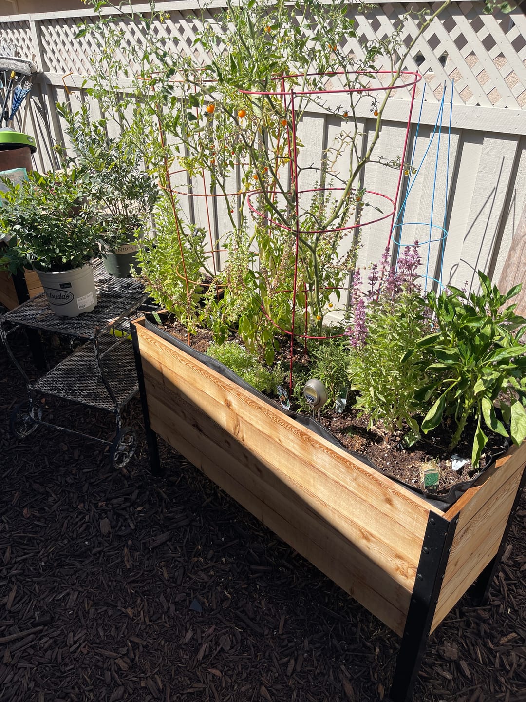 Customer photo review of Jason Bundle Raised Garden Bed + Platform Feet